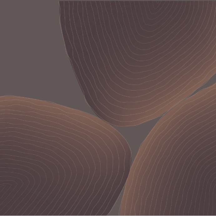 皓新 (6)